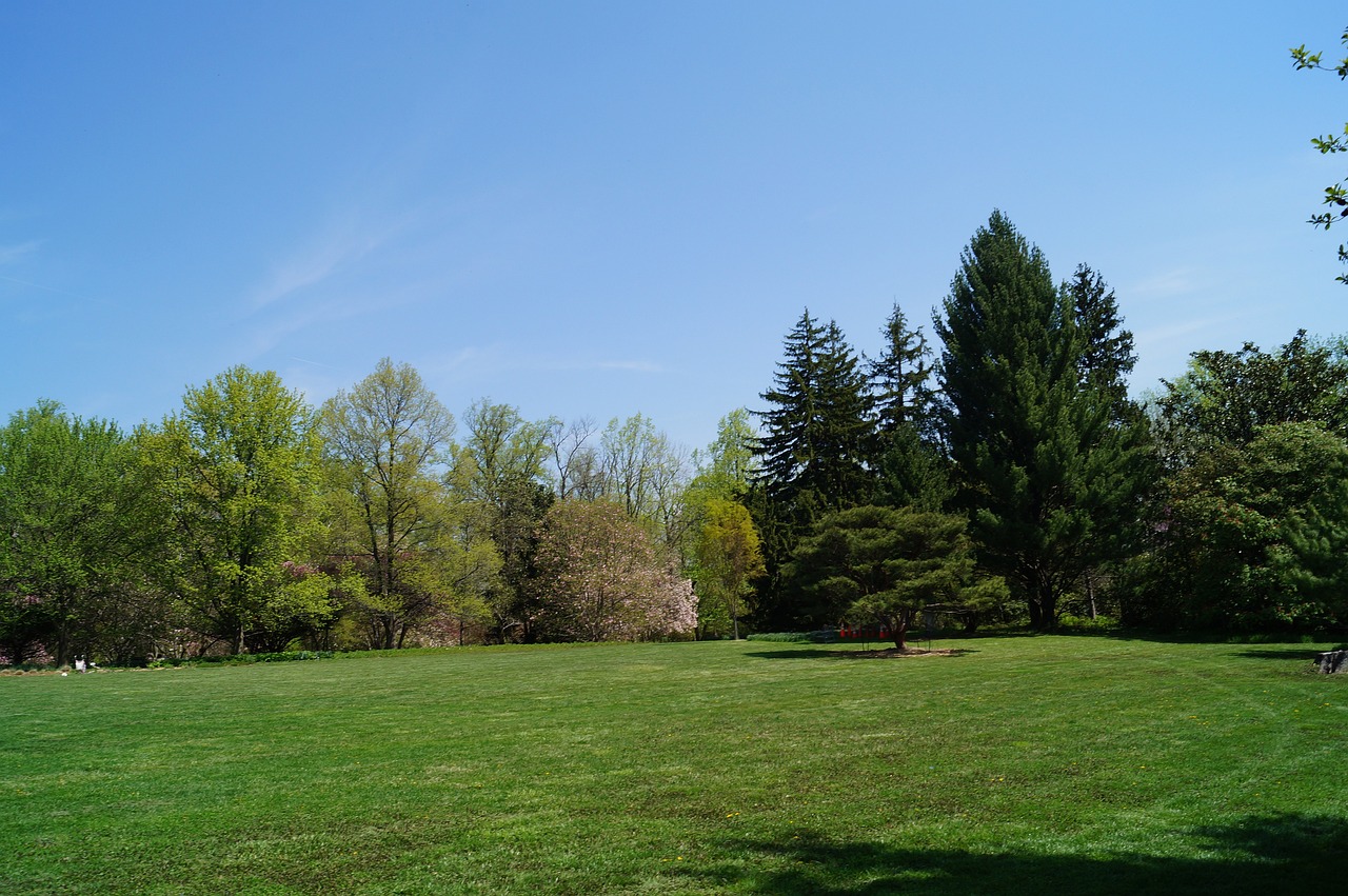 Turn Your Backyard into a Nature's Retreat